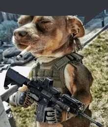 a dog is holding a gun and smoking a cigarette while wearing a vest and gloves .