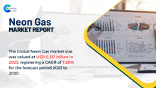 a neon gas market report shows a computer screen with graphs on it