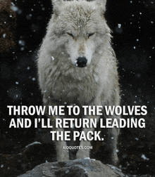 a wolf with a quote that says throw me to the wolves and i ll return leading the pack