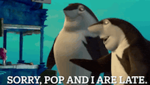 a couple of sharks standing next to each other with the words sorry pop and i are late below them