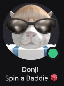 a picture of a cat wearing sunglasses with the words donji spin a baddie below it