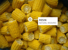 a pile of corn on the cob with a label that says resin