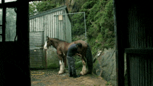 a man standing next to a horse in front of a fence with a sign on it that says ' no dogs '