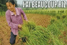 a woman is standing in a field of rice with a bunch of rice in her hands .