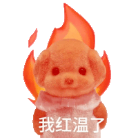 a teddy bear with flames coming out of its head and chinese writing