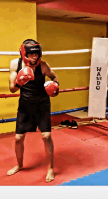 a man wearing red boxing gloves stands in a boxing ring with a sign that says wasedo