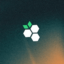 a picture of a honeycomb with green leaves on a dark background