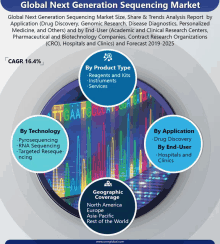 global next generation sequencing market size share & trends analysis report by application