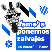 a zebra wearing sunglasses and the words vamos a ponernos salvajes on a blue background