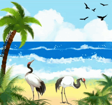 a painting of two birds on a beach with the words franwhiteside on the bottom right