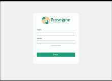 a screenshot of the ecosegme website shows a few fields