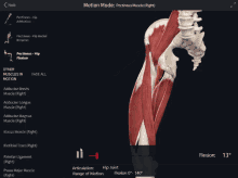 a computer screen shows a skeleton and muscles and says motion mode on the top