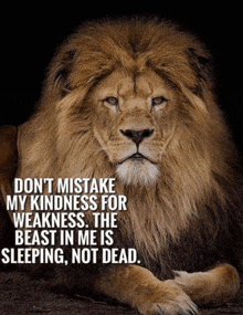 a lion is laying down with a quote on it