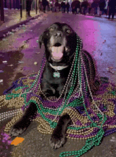 a black dog is laying on a pile of beads and has a tag that says ' snoopy ' on it