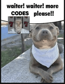 a dog wearing a bandana with a picture of a man and the words " waiter waiter more codes please " above it
