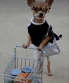 a chihuahua wearing a pearl necklace and sunglasses pushes a shopping cart