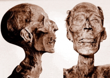 a close up of a mummy 's face with a white background