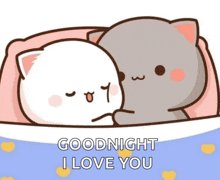 a couple of cats laying next to each other with the words " goodnight i love you "