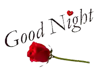 a red rose is next to the words " good night " on a white background