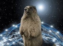 a groundhog is standing on its hind legs in front of a globe