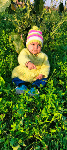 a baby is sitting in the grass wearing a yellow sweater and a hat .