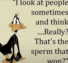a cartoon of a duck with the words " i look at people sometimes and think ... really "
