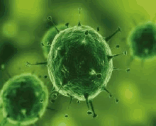 a computer generated image of a green virus .