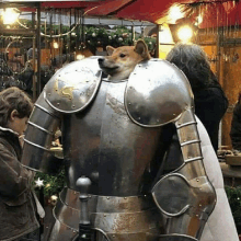 a dog wearing a knight 's armor with the letter s on the chest