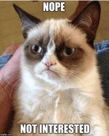 a grumpy cat with the caption nope not interested on it