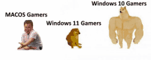 a picture of a boy and a dog with the words macos gamers and windows 11 gamers