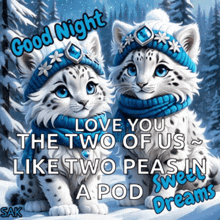 two snow leopard kittens wearing blue hats and scarves with the words good night the two of us like two peas in a pod