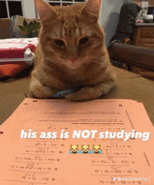 a cat laying on top of a pile of math worksheets with the caption his ass is not studying