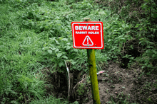 a red sign that says beware rabbit holes in the grass