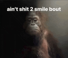 a picture of a monkey with the words " ain 't shit 2 smile bout "