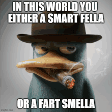 a perry the platypus smoking a cigar with a caption that says in this world