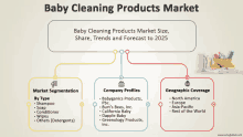 a diagram showing the baby cleaning products market size trends and forecast to 2025