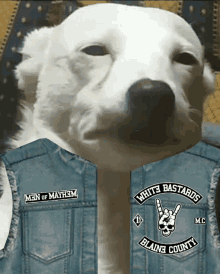 a white dog is wearing a denim vest that says white bastards