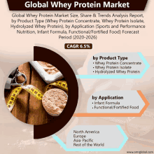 a poster for the global whey protein market shows a measuring tape and a scoop of whey protein