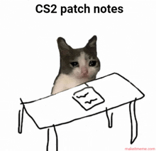 a cat is sitting at a table with a piece of paper on it and the words cs2 patch notes below it