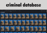 a screenshot of a criminal database with a bunch of cats on it