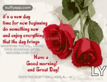 a greeting card with red roses and the words " have a good morning "