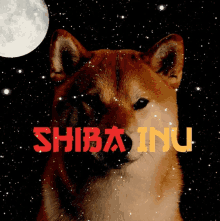 a picture of a dog with the words shiba inu written on it