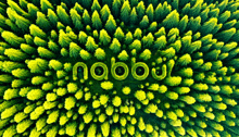 the word nobbu is written in the middle of a forest of green trees