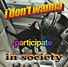 a cat in a car with the words i don t wanna participate in society below it