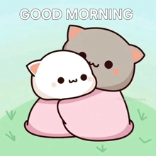 a couple of cartoon cats hugging each other with the words good morning written above them