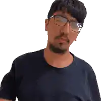 a man with glasses and a beard looks at the camera