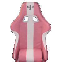 a pink and white striped racing seat with a bird on it