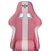 a pink and white striped racing seat with a bird on it