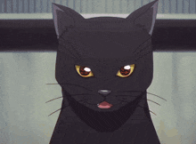 a close up of a black cat 's face with red eyes