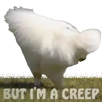 a white bird with the words but i 'm a creep written below it
